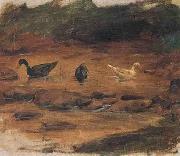 Benedito Calixto, Ducks